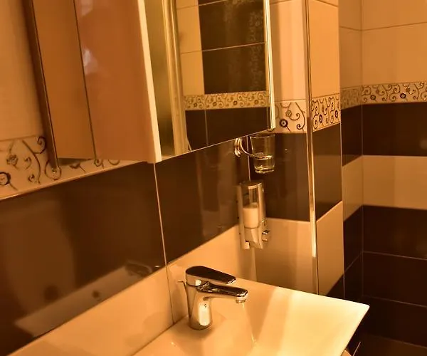 Ferhadija Luxury 公寓 *